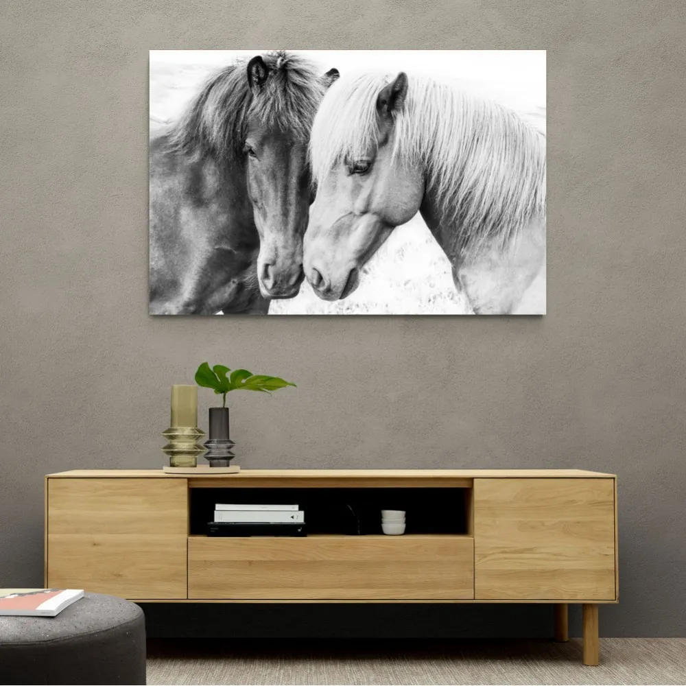 Horse Love Horse Love
