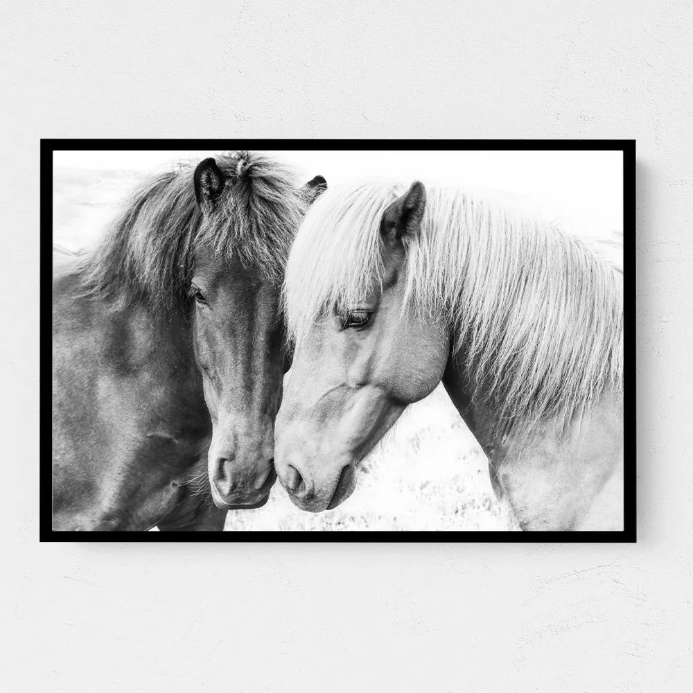 Horse Love Horse Love