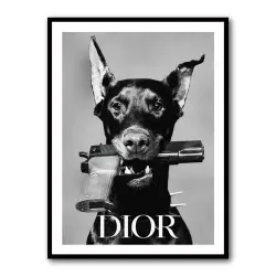 Dior Doberman