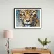 Blue Eyed Leopard 2 Wall Art Blue Eyed Leopard 2 Wall Art