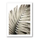 Palm Leaves 22 Wall Art Palm Leaves 22 Wall Art