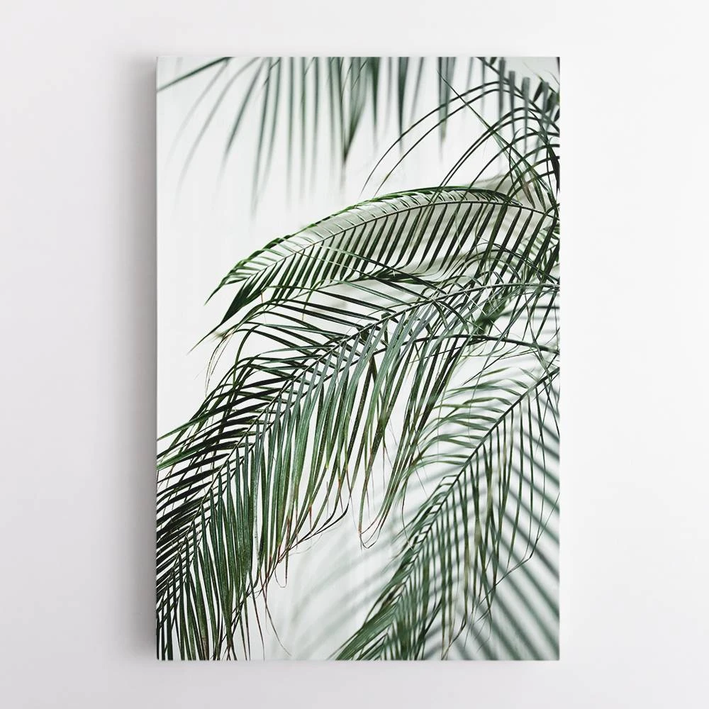 Palm Leaves 21 Wall Art Palm Leaves 21 Wall Art