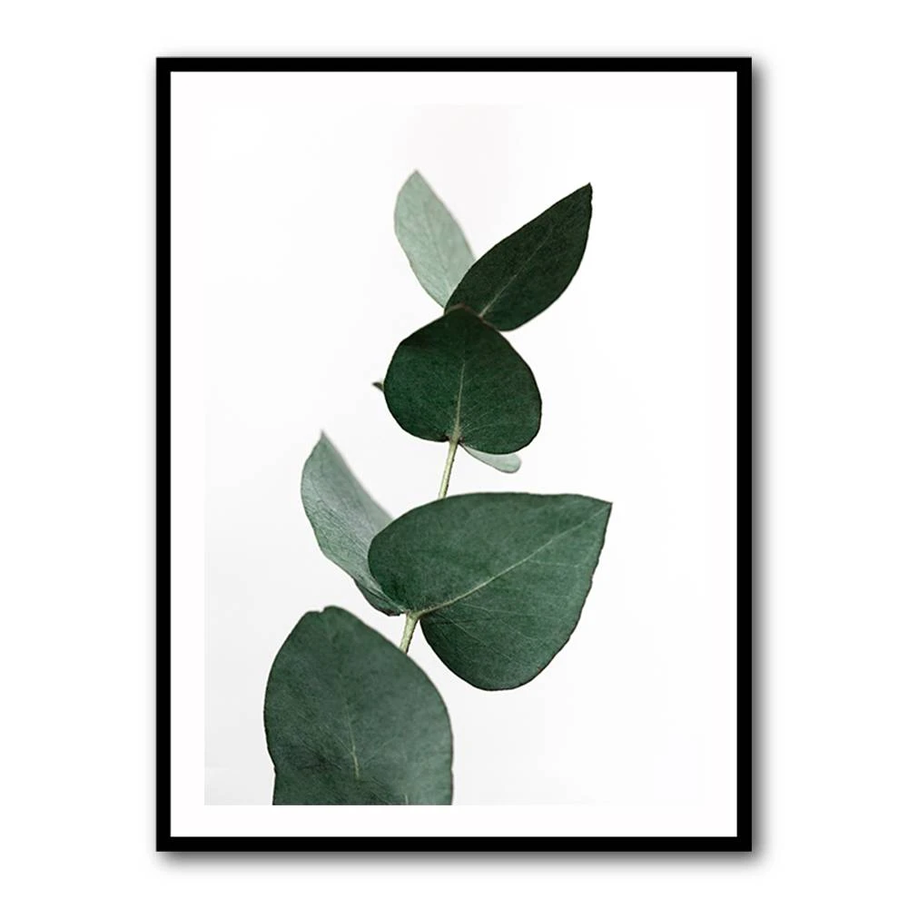 Eucalyptus 4 A1 Wall Art Eucalyptus 4 A1 Wall Art