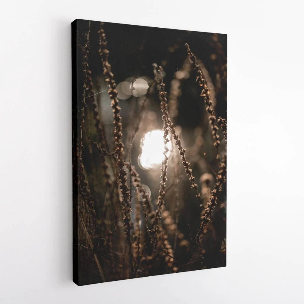 Autumn Lights 2 Wall Art Autumn Lights 2 Wall Art