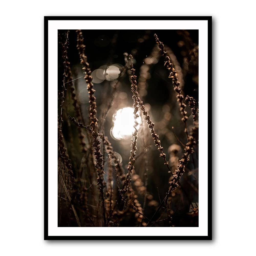 Autumn Lights 2 Wall Art Autumn Lights 2 Wall Art
