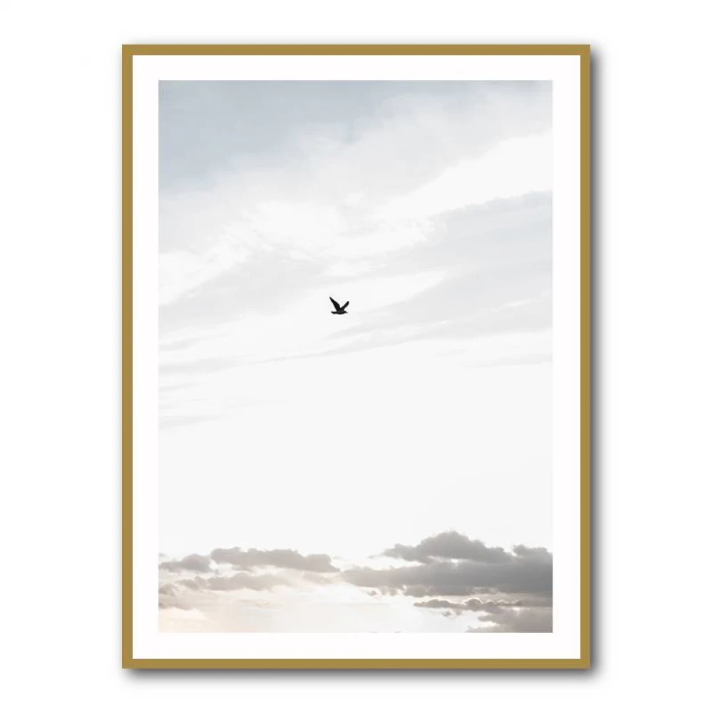 Flying High Wall Art Flying High Wall Art