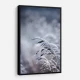 Frosty Morning 5 Wall Art Frosty Morning 5 Wall Art