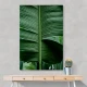 Leaves 15 Wall Art Leaves 15 Wall Art