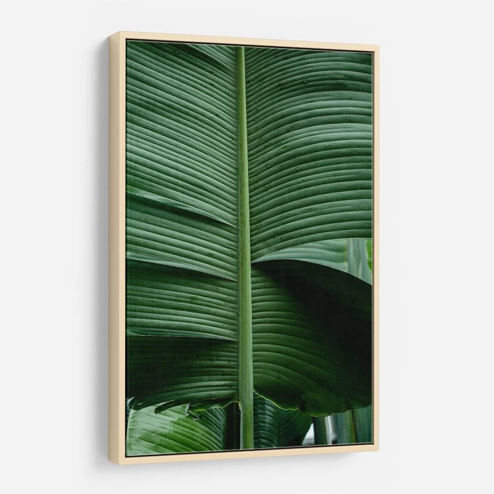 Leaves 15 Wall Art Leaves 15 Wall Art