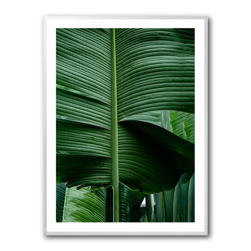 Leaves 15 Wall Art Leaves 15 Wall Art