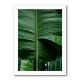Leaves 15 Wall Art Leaves 15 Wall Art