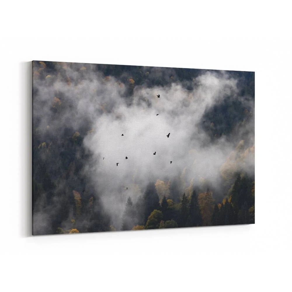 Foggy Woods 8 Wall Art Foggy Woods 8 Wall Art